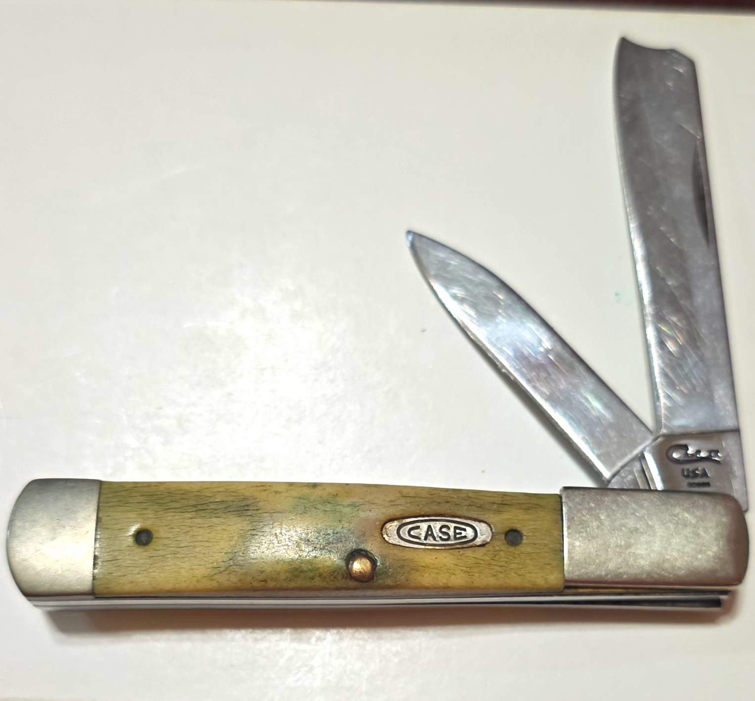 Case Trapper 52005 2-Blade Slipjoint Pocketknife, Stainless, Bone Handle