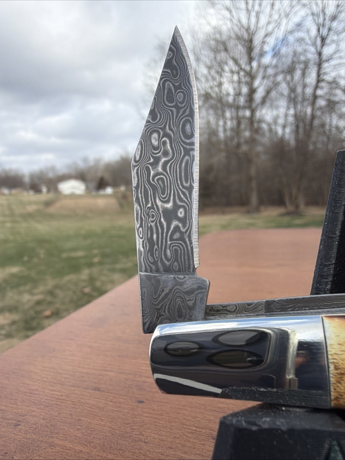 BEAR & SON INDIA STAG BONE DAMASCUS STEEL BCGS281D 1/2 BABY BARLOW KNIFE