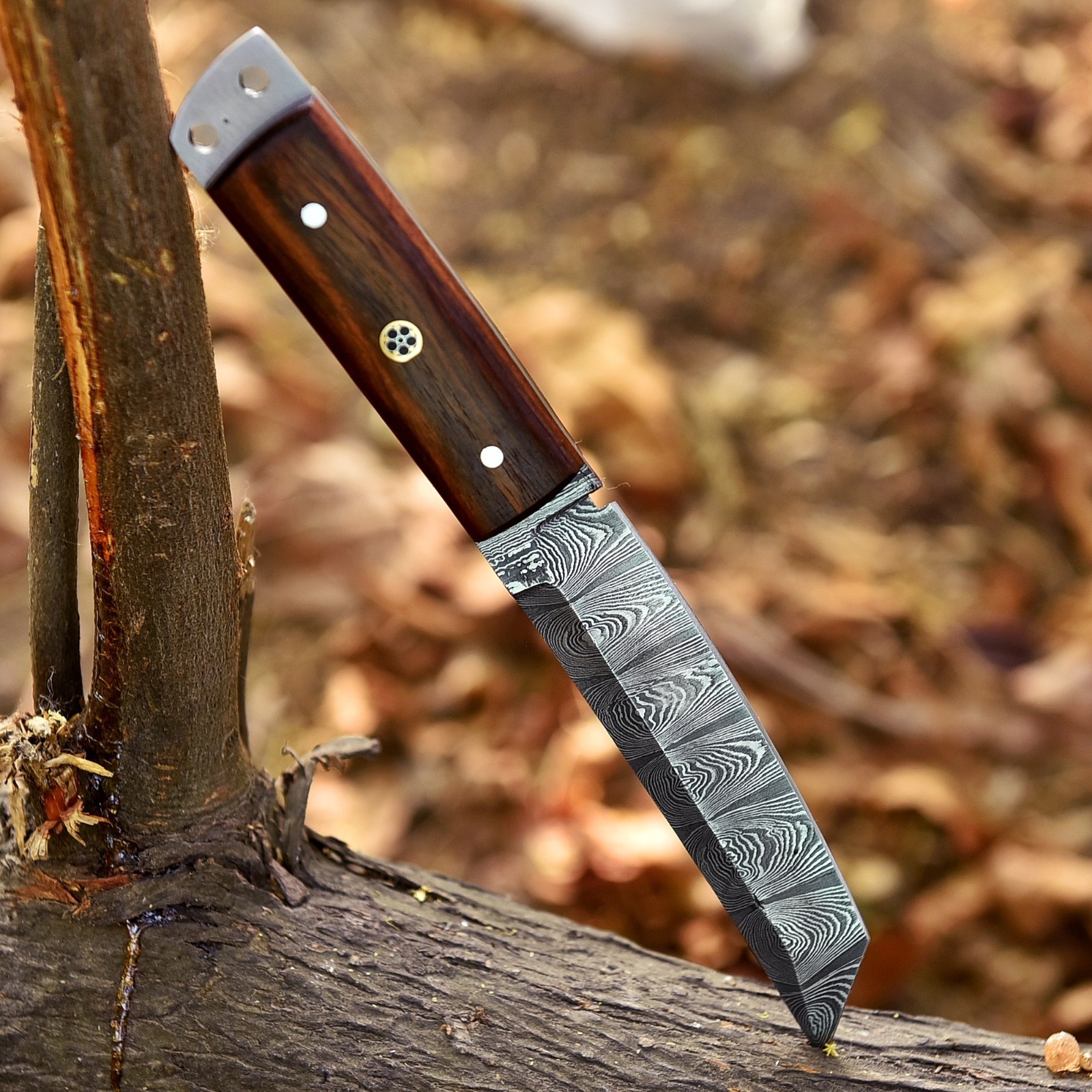 Custom Made Hand Forged Damascus Steel Fixed Blade Tanto Knife Hunting UU 41