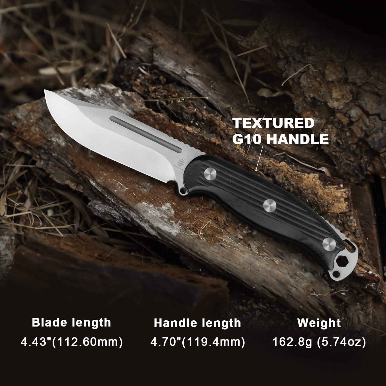 Kizer Ursa Major Clip Point Pocket Fixed Knife AEB-L Blade G10 Handle + Sheath