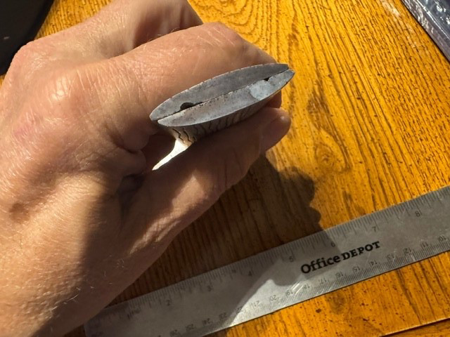 BEAUTIFUL GRAY COLORED LINED BONE KNIFE HANDLE MATERIAL BLANK SCALES