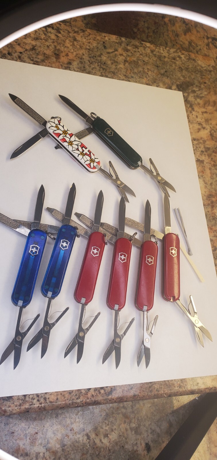Victorinox Classic SD Mini Swiss Army Pocket Knife Assrtd Colors Pre-Owned 58mm