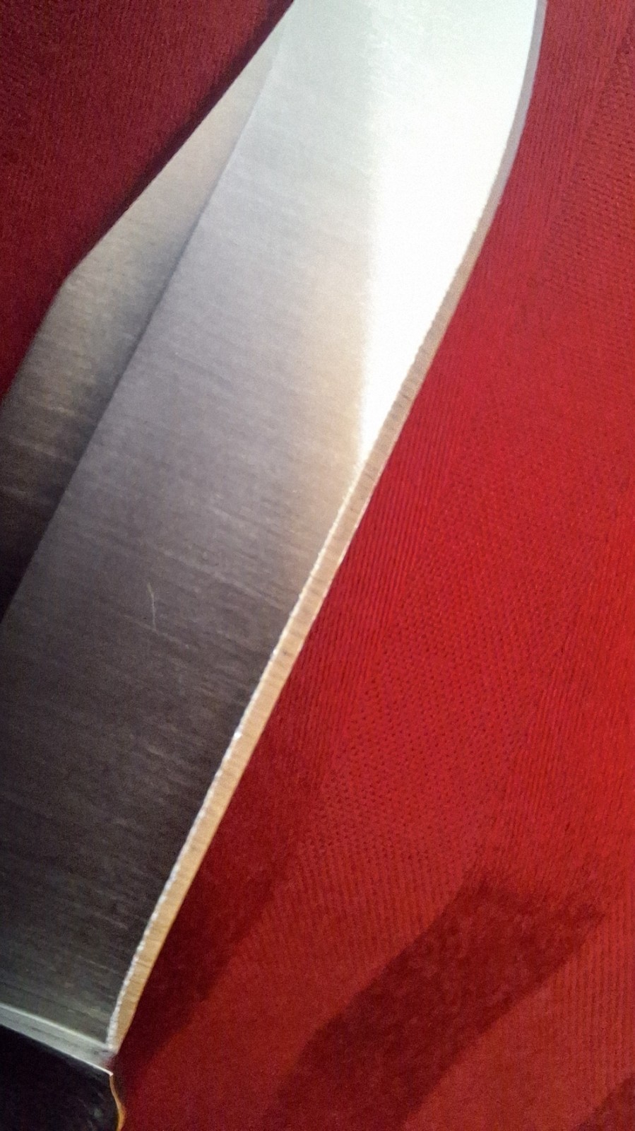 New Buck 110 Hunter Clip Point Knife Nickel Sliver Stamped Tang! Yes Nickel!