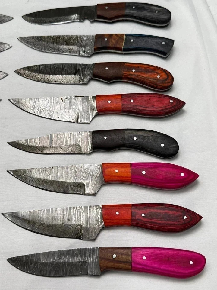 Lot of 20 Handmade Damascus Steel Full Tang Skinner Hunting Knives / Mix Handles