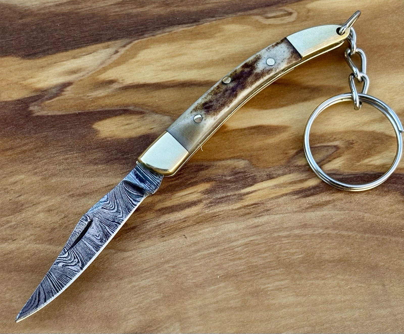 2.5” Pocket Knife Keychain High Quality Drop Point Everyday Carry Compact