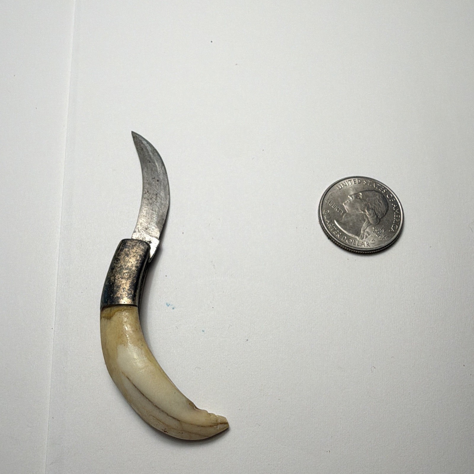Hawkbill Pocketknife 1-Blade Plain Edge Manual Folding Bone Handle Under 2.75in