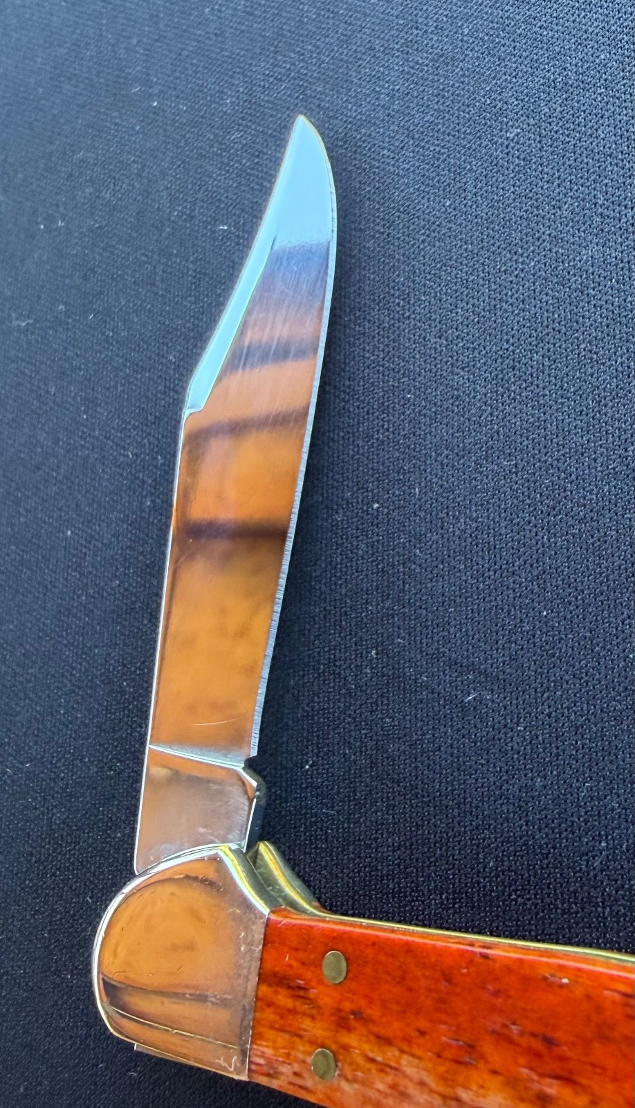 2018 Case XX USA Chestnut Bone Handle Mini Copperlock Folding Pocket Knife Used