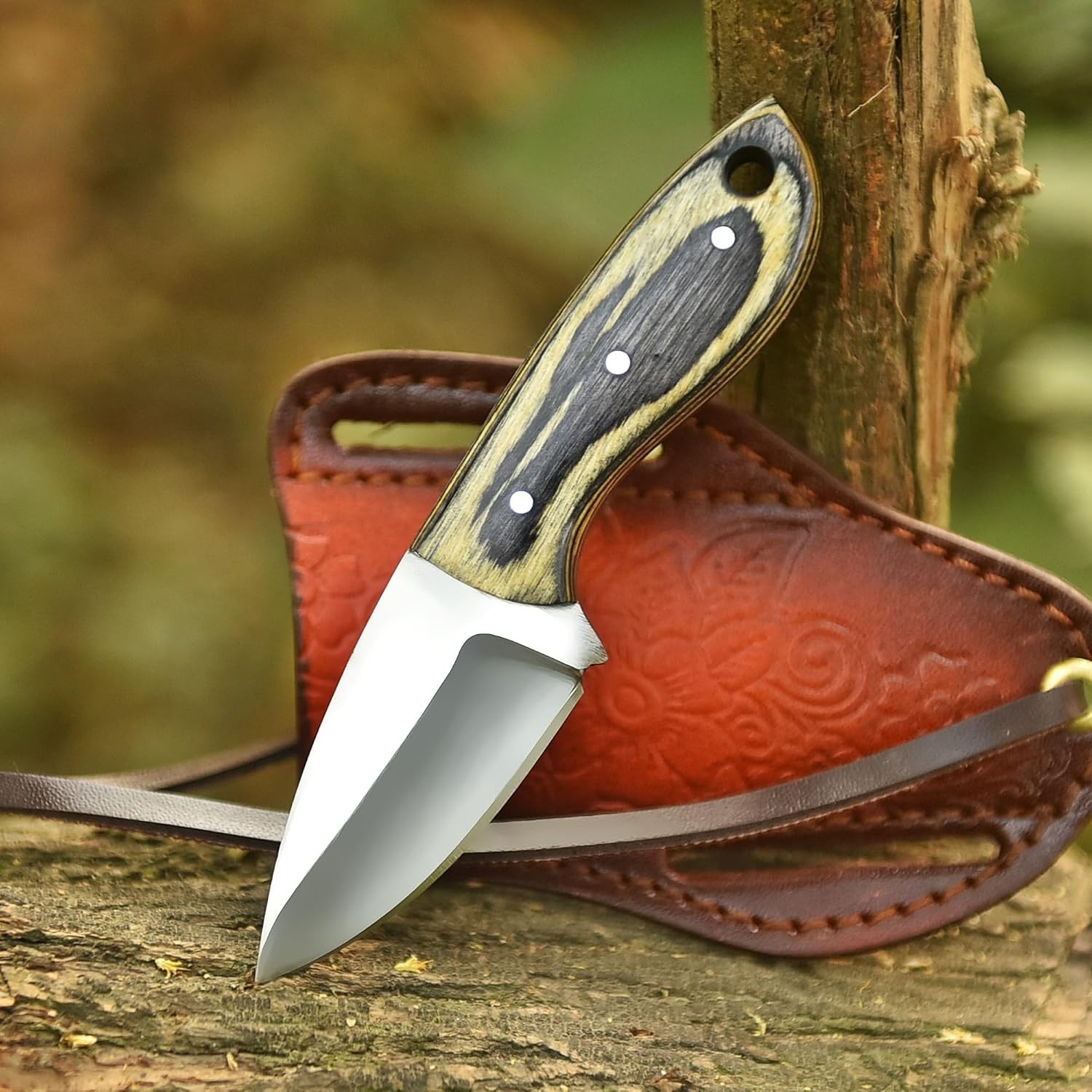 5.5″ D2 Steel Neck Knife Fixed Blade G10 Handle Sheath EDC Bushcraft Outdoor