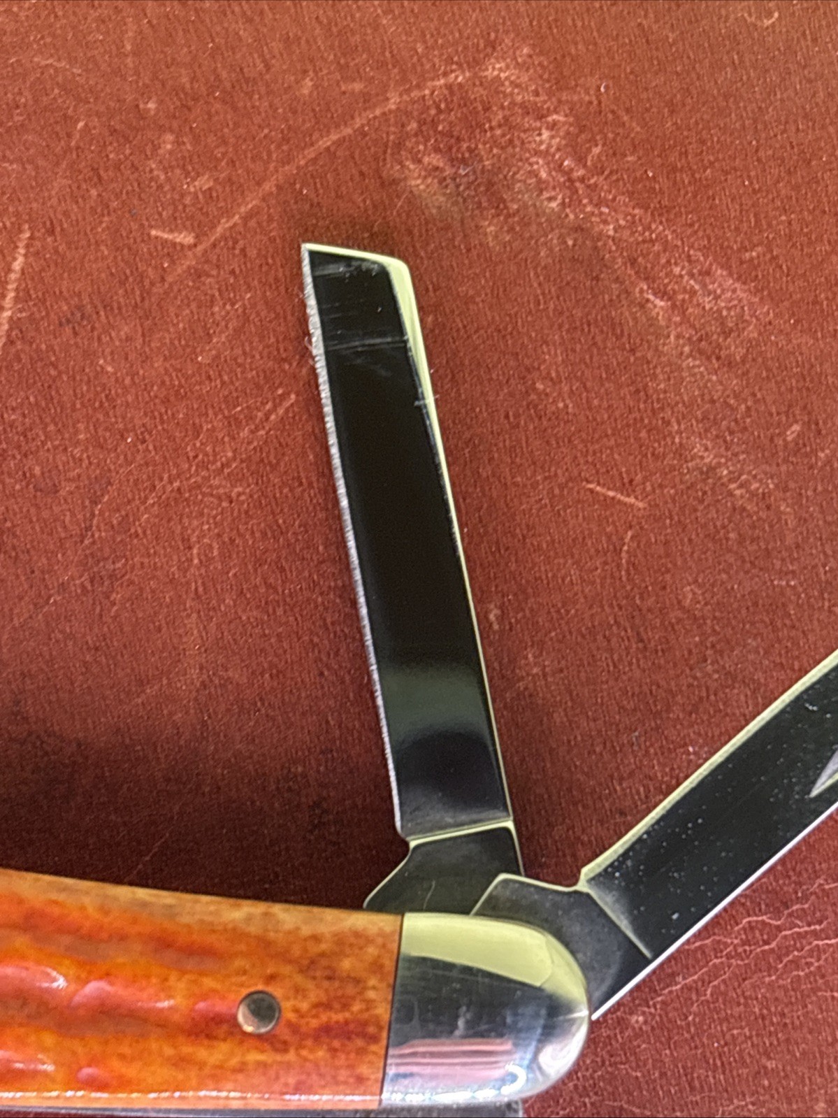 CASE XX SEAHORSE WHITTLER POCKET WORN HARVEST ORANGE BONE HANDLES KNIFE USA