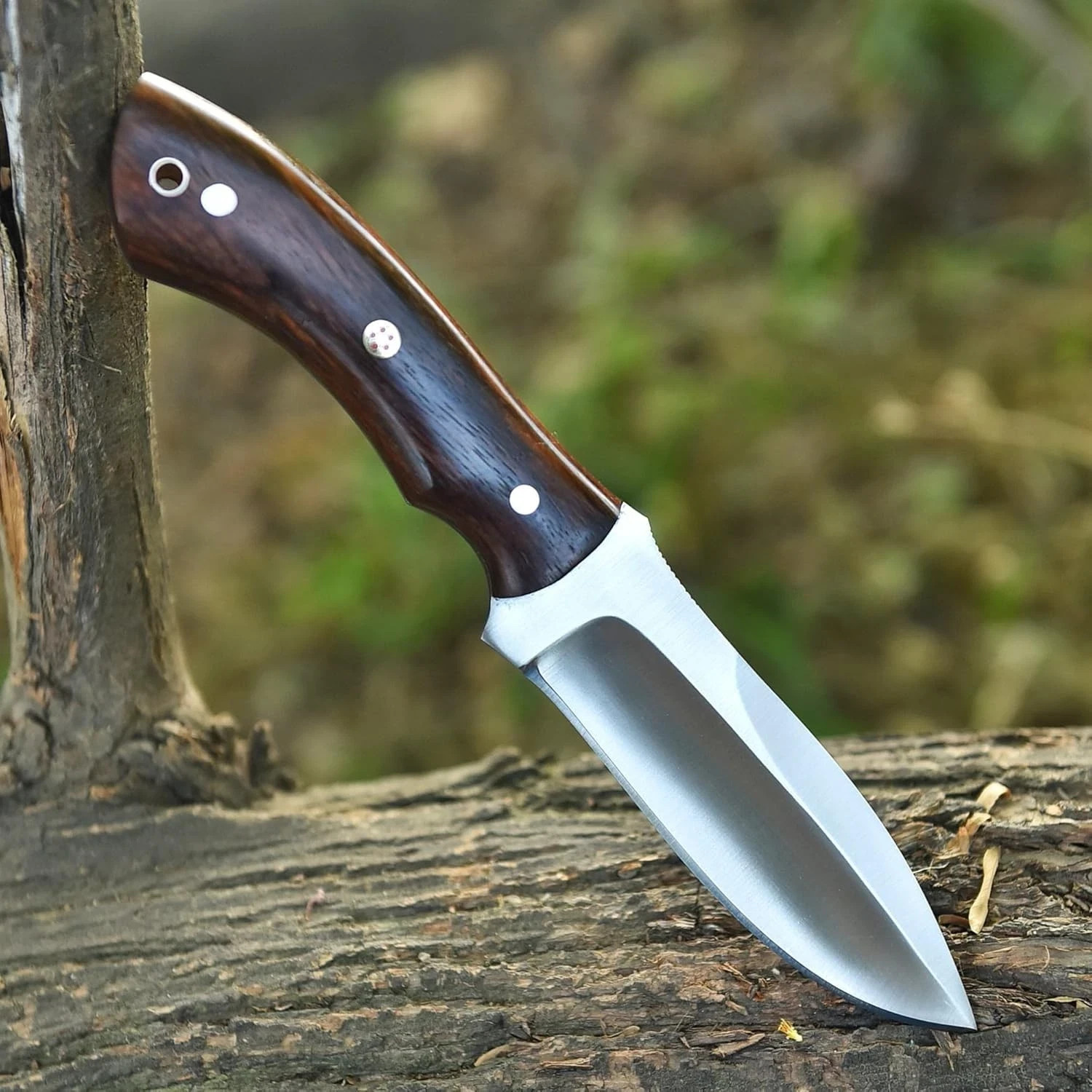 9″ Fixed Blade Hunting Knife Full Tang Rosewood Handle Bushcraft w/ Scout Sheath