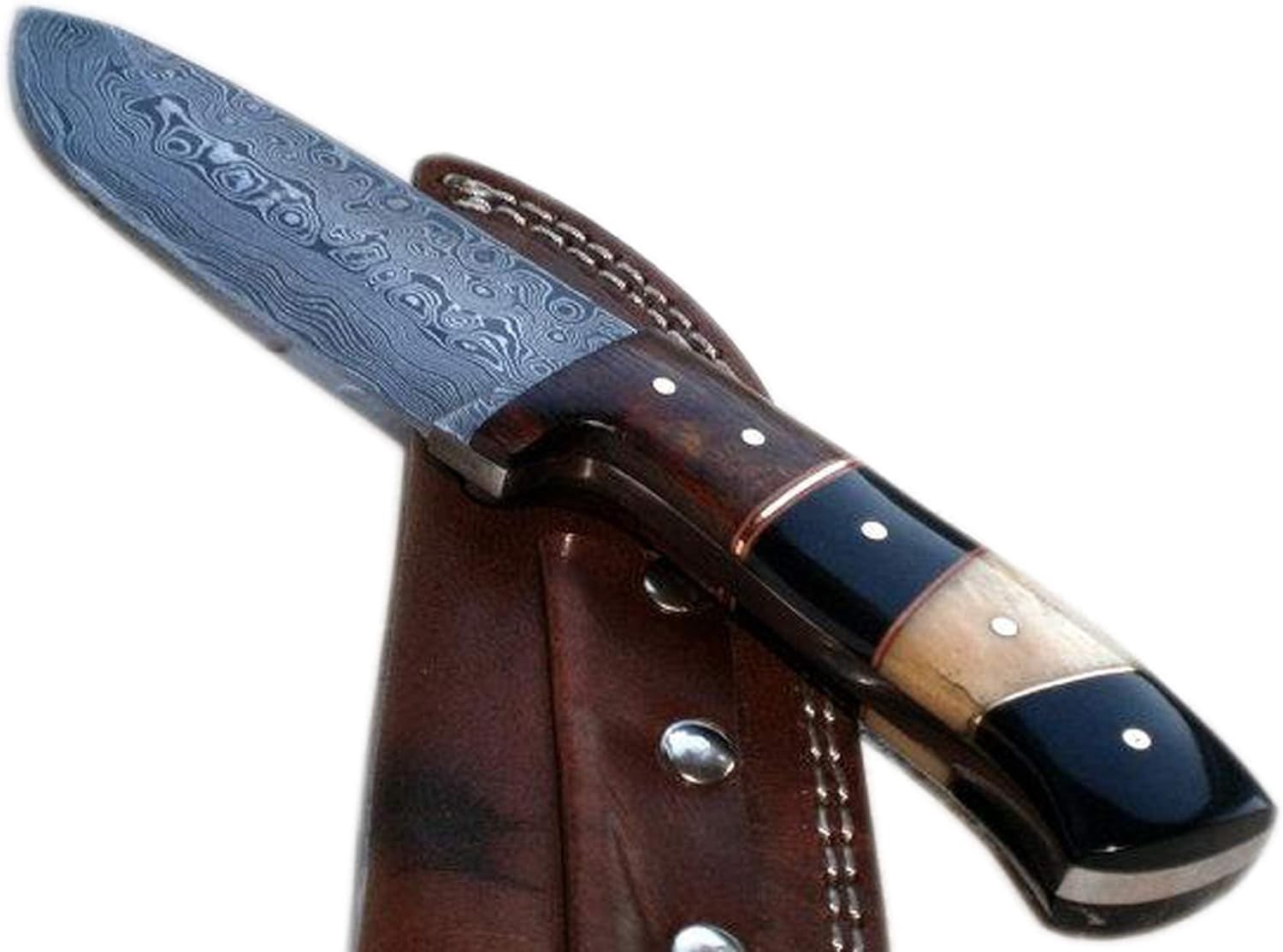 Damascus Steel Knife Handmade 8 Inches Wood/Bone/Horn Handle Knife Camping Knife
