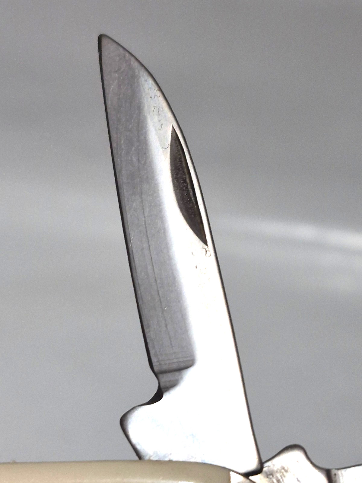 B & O R.R. Railroad USA Branded 2 Blade Novelty Pocket Knife