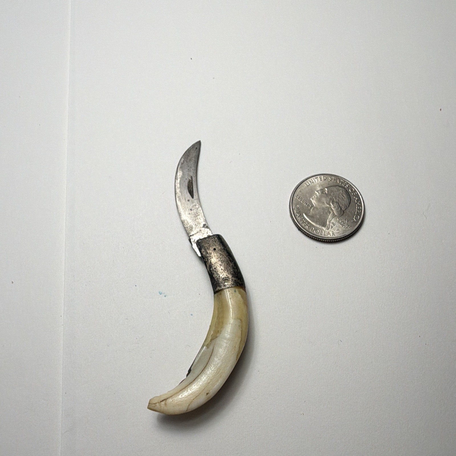 Hawkbill Pocketknife 1-Blade Plain Edge Manual Folding Bone Handle Under 2.75in