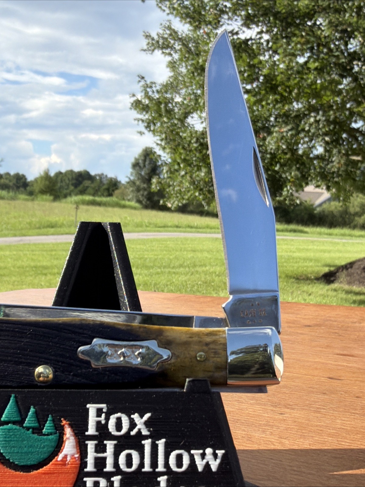 Case XX 2025 Olive Green Sawcut Bone 6254 SS Trapper Knife