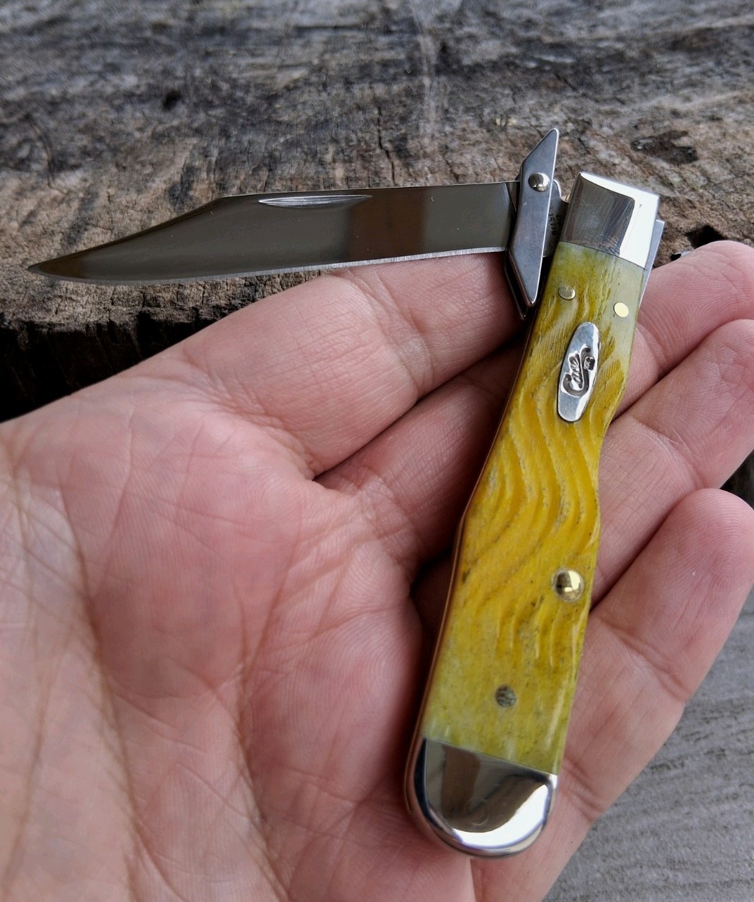 Case XX No. 75317 Yellow Bone Platts Jig Cheetah Cub (611 1/2L SS)