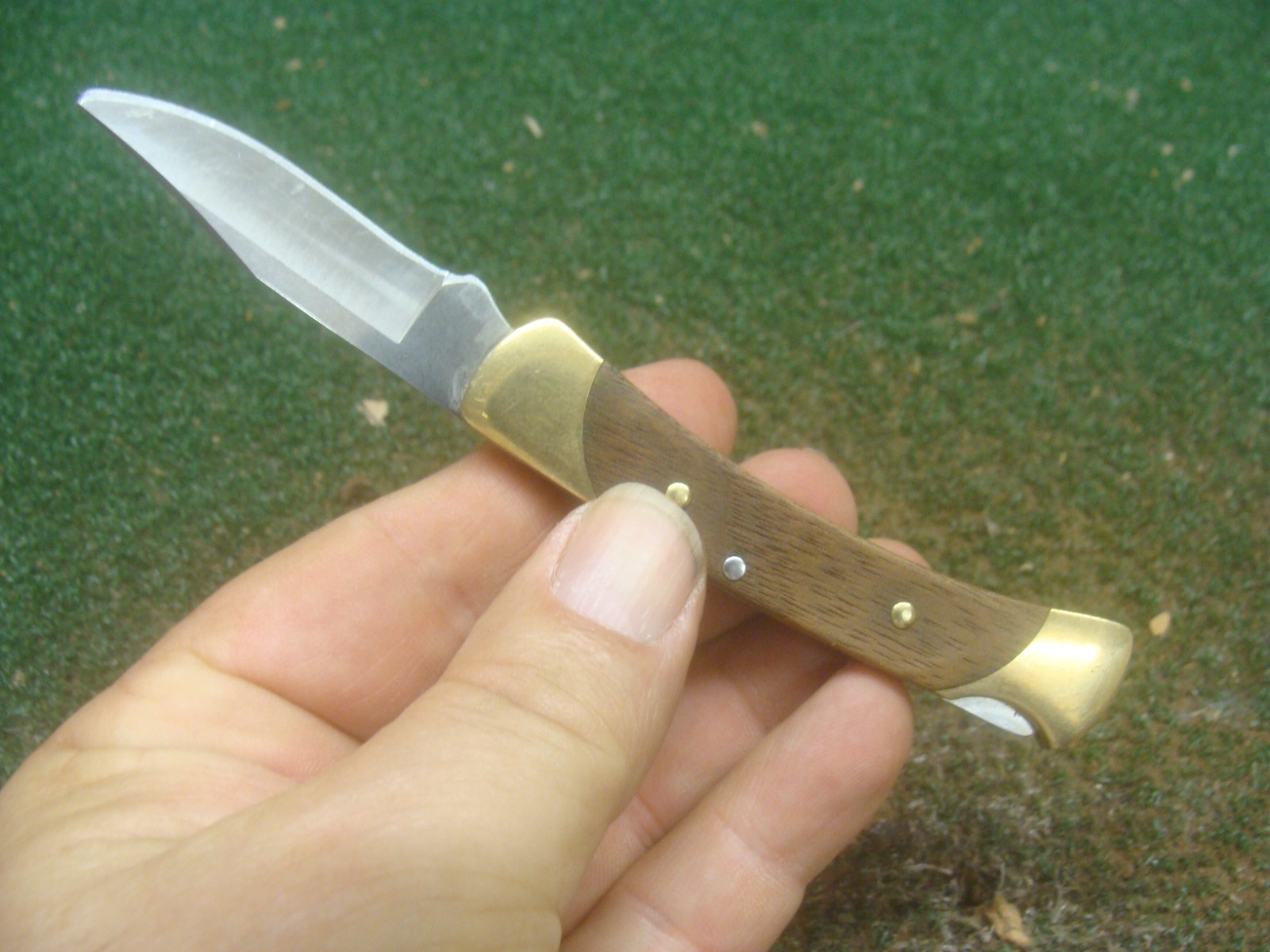 Buck 055 Small Single Blade Folding Lockblade Pocket knife 5.5″