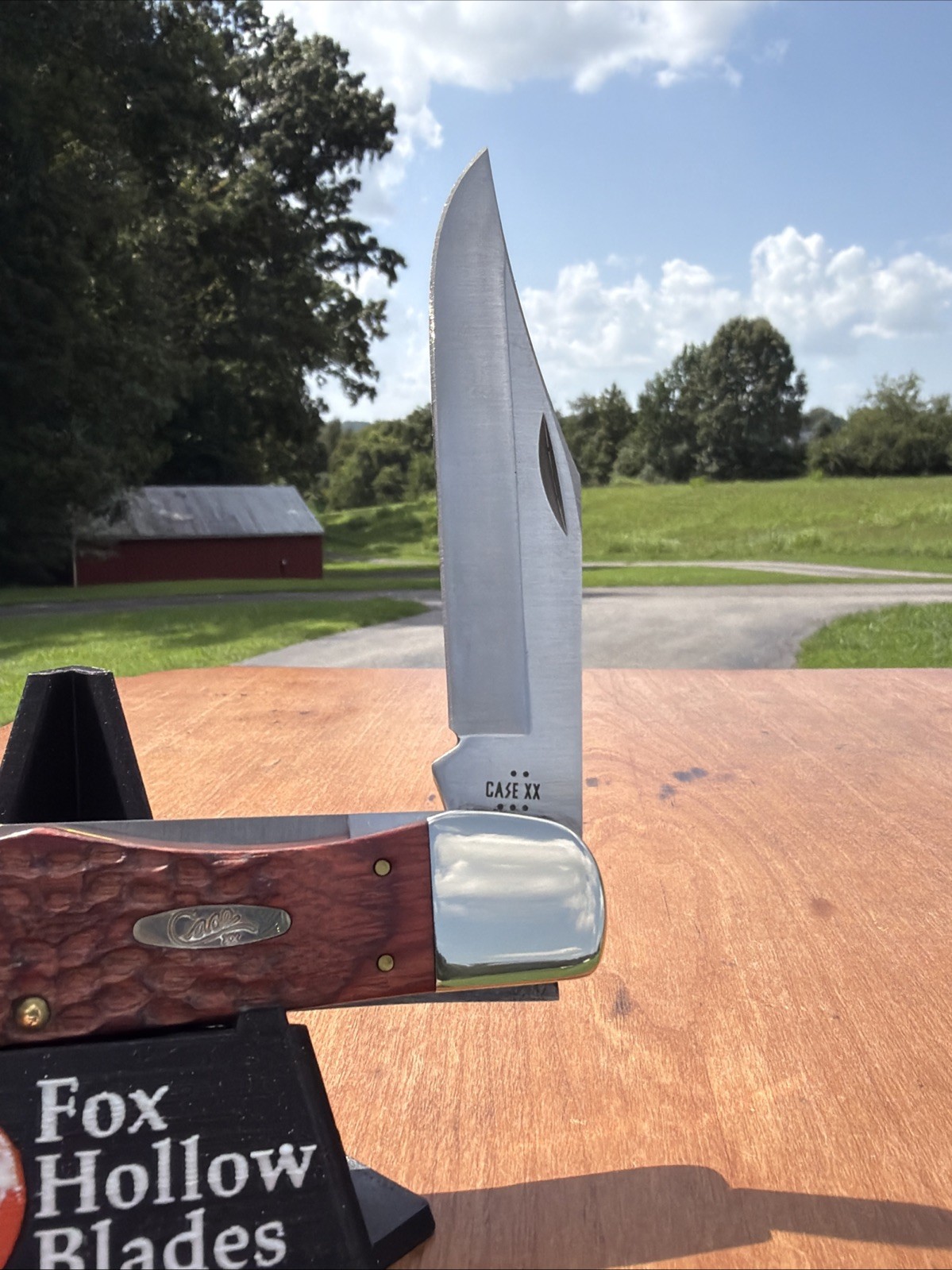 Case XX 2025 Rosewood Standard Jig 6265 SS Folding Hunter With Sheath