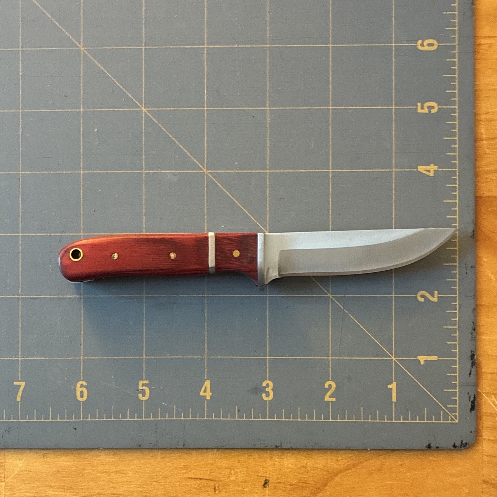 Hunting Fixed Blade Knife 3-3.49in Stainless Clip Point Silver, Wood, Hole