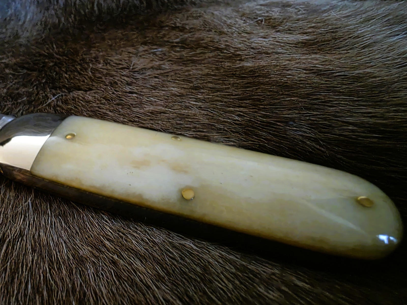 GEC – Tidoute Cutlery ToeNail Clipper- 363122 India Smooth Bone