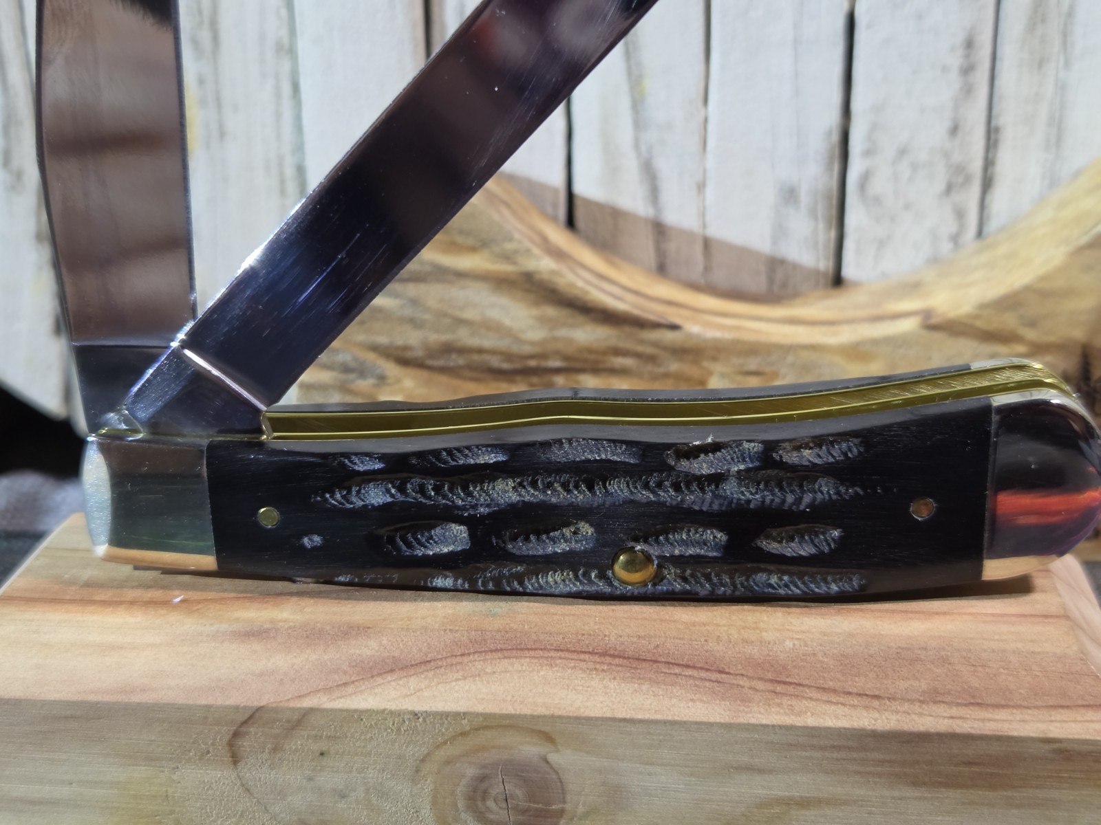 Case XX Buffalo Horn Full Size Trapper Knife NIB 2026