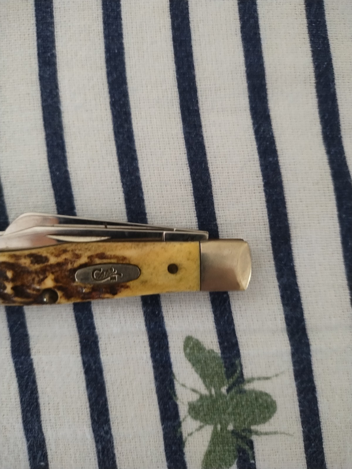 Vintage 2000s W. R. Case & Sons Bone Pocket Knife USA Good Condition 🔥