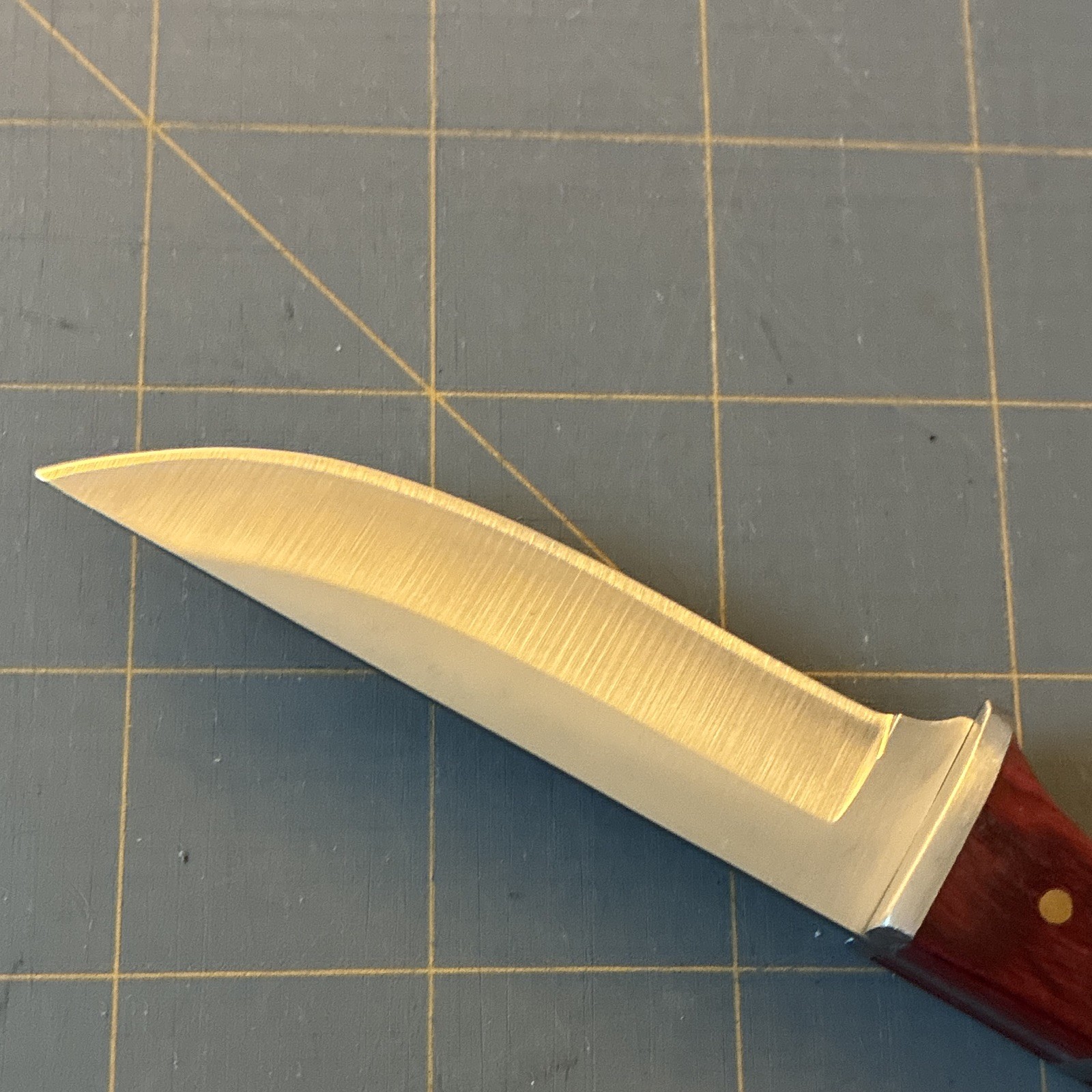 Hunting Fixed Blade Knife 3-3.49in Stainless Clip Point Silver, Wood, Hole