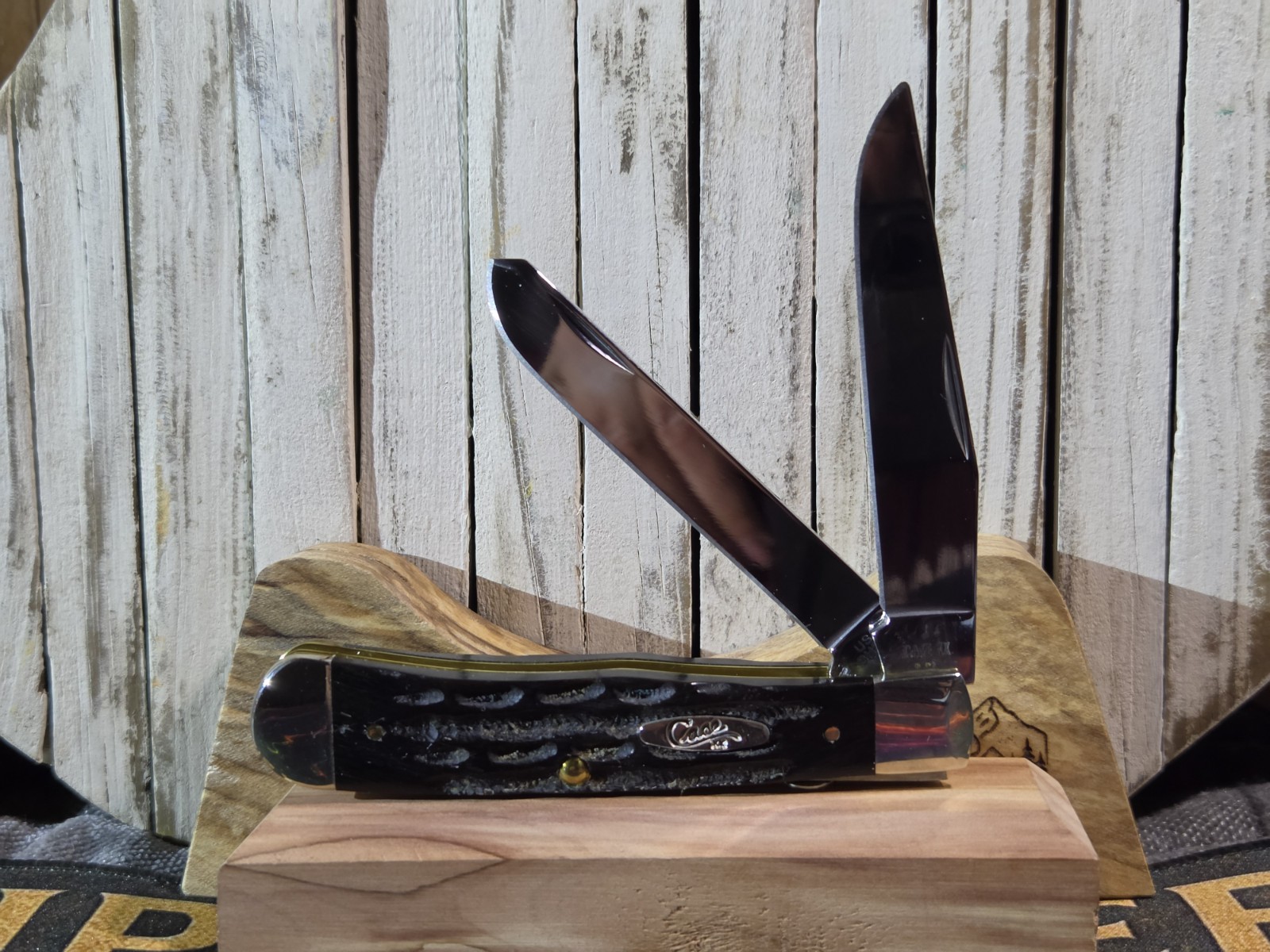 Case XX Buffalo Horn Full Size Trapper Knife NIB 2026