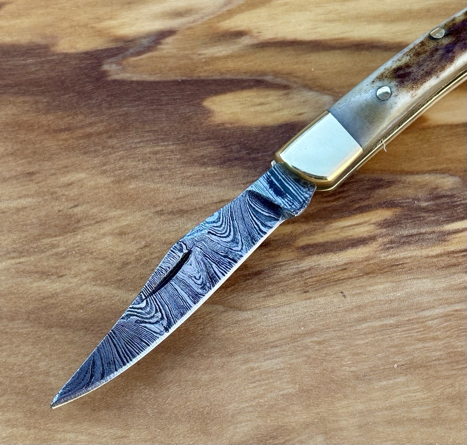 2.5” Pocket Knife Keychain High Quality Drop Point Everyday Carry Compact