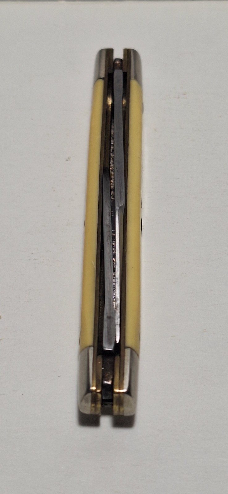 VINTAGE SEARS BRANDED SMALL PEANUT KNIFE CARBON STEEL #95301 YELLOWISH/WHITE