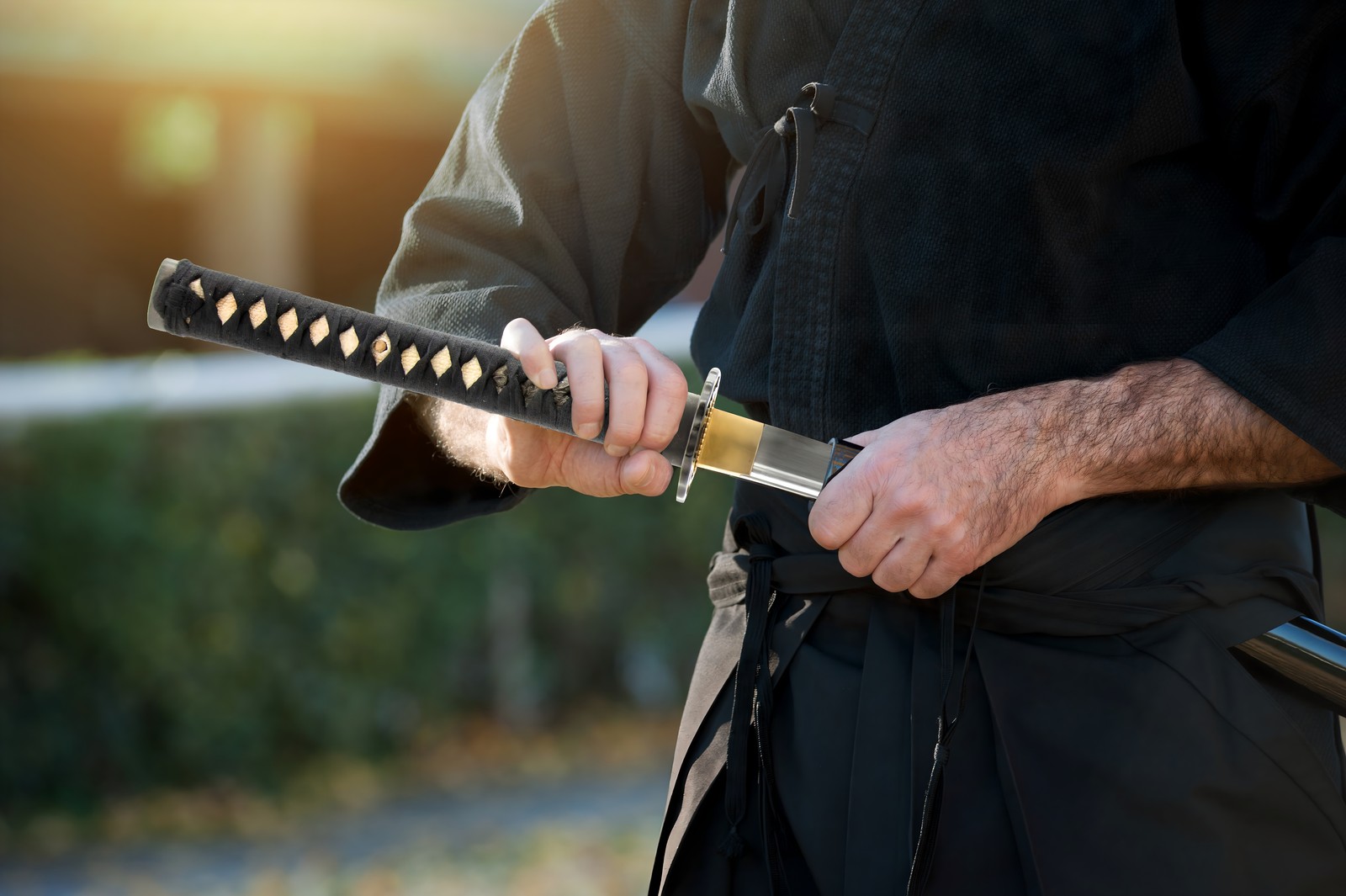 Turtle Katana Iaito Iaito Practice Katana