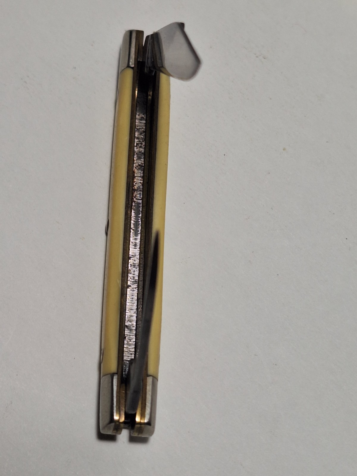 VINTAGE SEARS BRANDED SMALL PEANUT KNIFE CARBON STEEL #95301 YELLOWISH/WHITE
