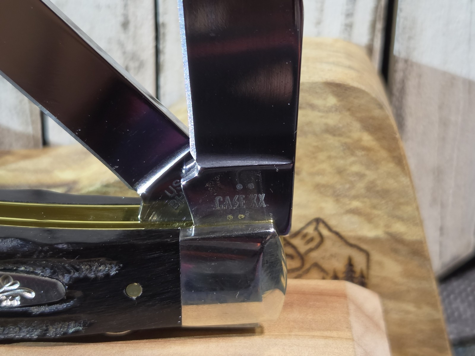 Case XX Buffalo Horn Full Size Trapper Knife NIB 2026