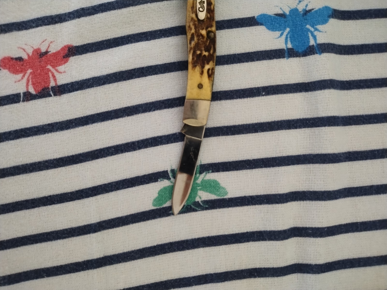 Vintage 2000s W. R. Case & Sons Bone Pocket Knife USA Good Condition 🔥