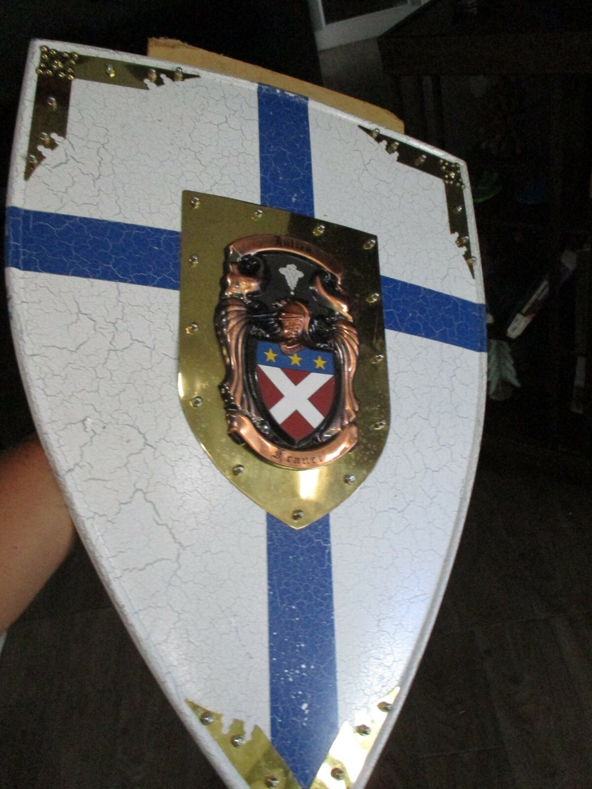 JULIEN FRANCE FIGHTING PROTECTIVE BATTLE ARMOR SHIELD COAT OF ARMS 20 X 28 »
