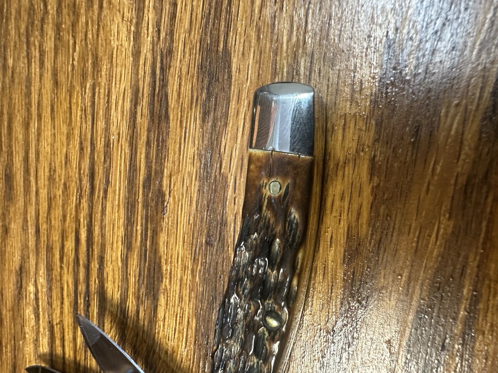 Case XX USA 2016 Burnt Amber Bone 62032 2 Blade Texas Jack. New!