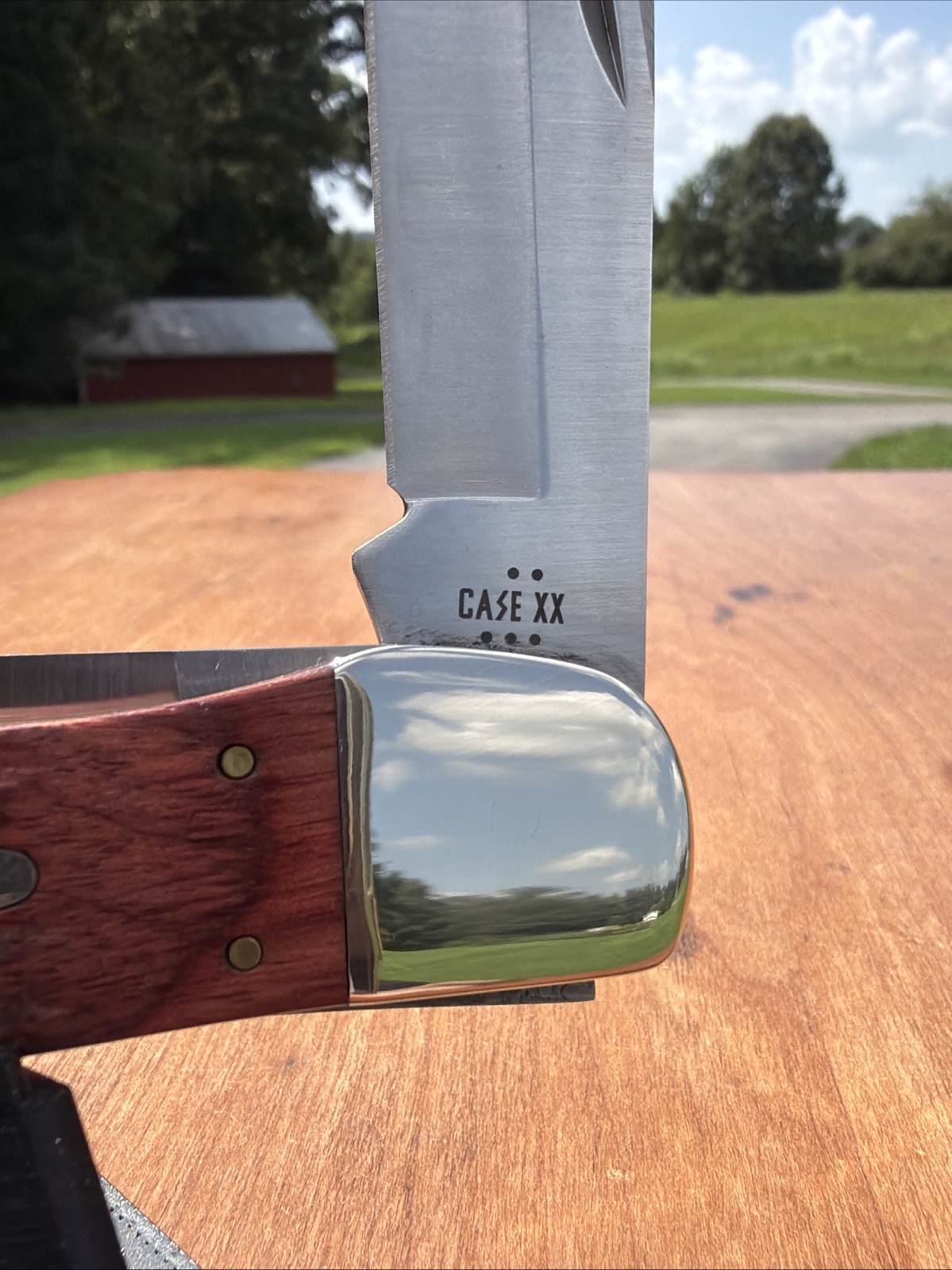 Case XX 2025 Rosewood Standard Jig 6265 SS Folding Hunter With Sheath