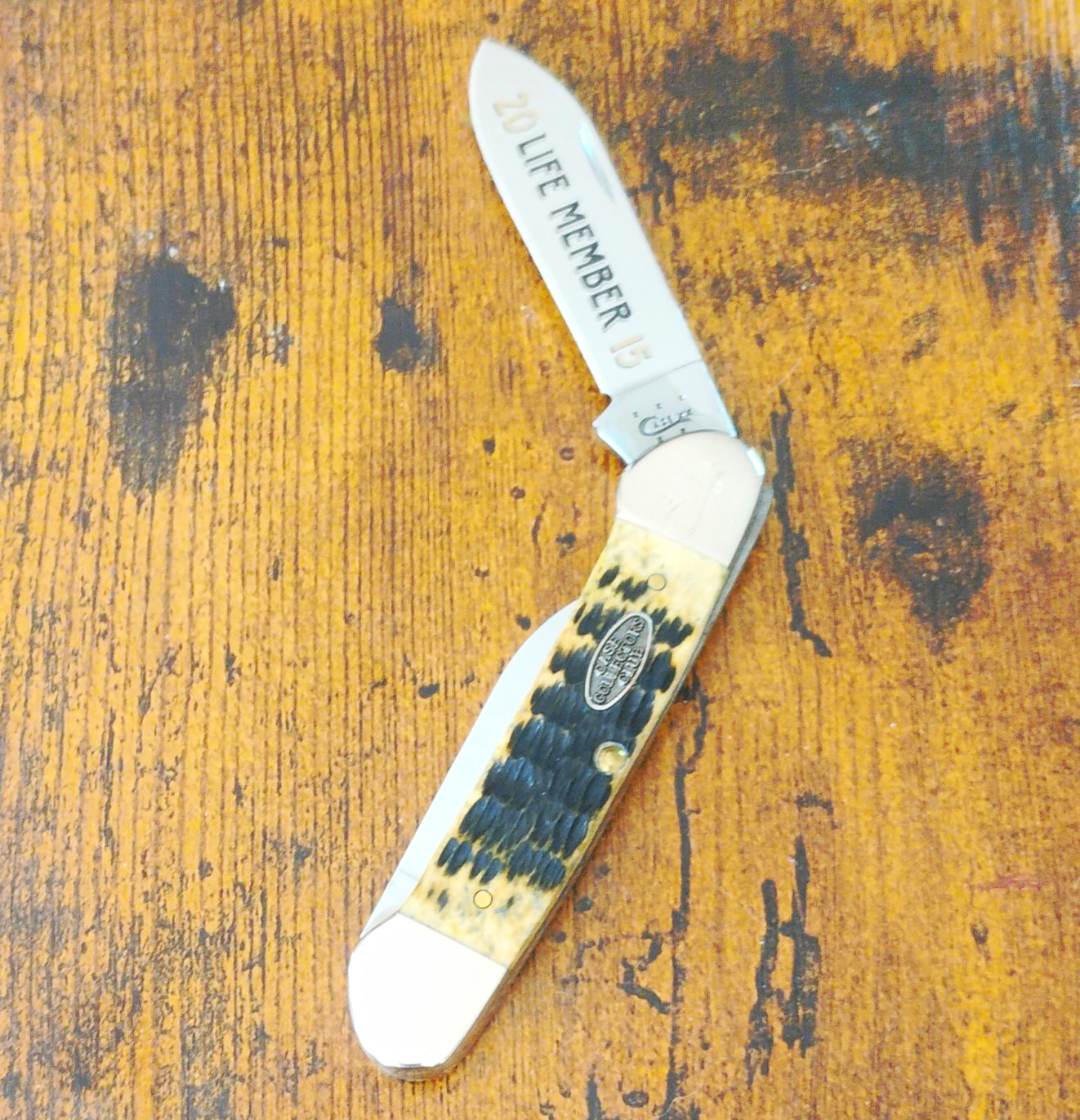 Case XX Collectors Club 2016 Canoe 62131 SS dark antique