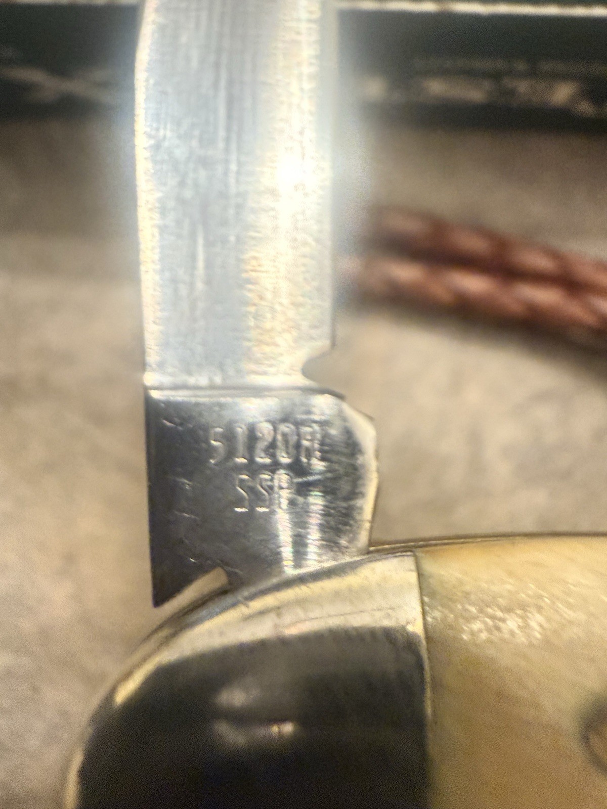 Case XX Peanut 1978 Stag w/ Bail STAINLESS 5120R SSP