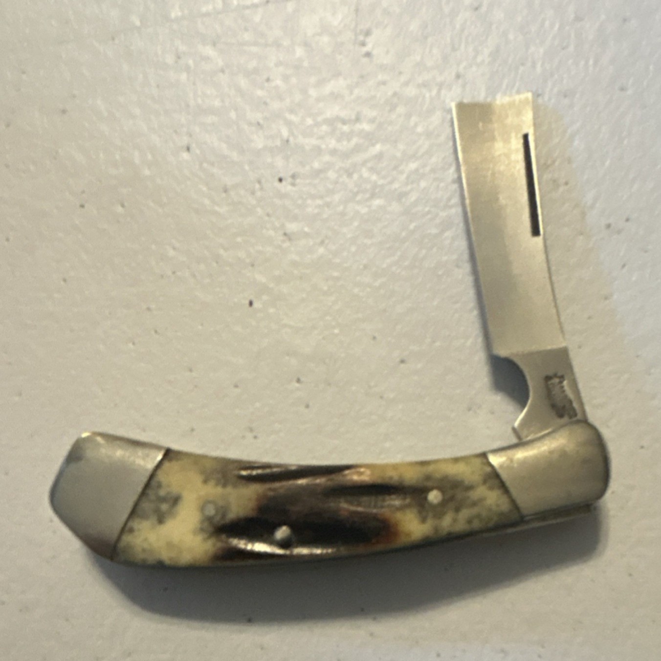 Frost Cutlery Slipjoint Bone Handle 1 Blade 2.75in