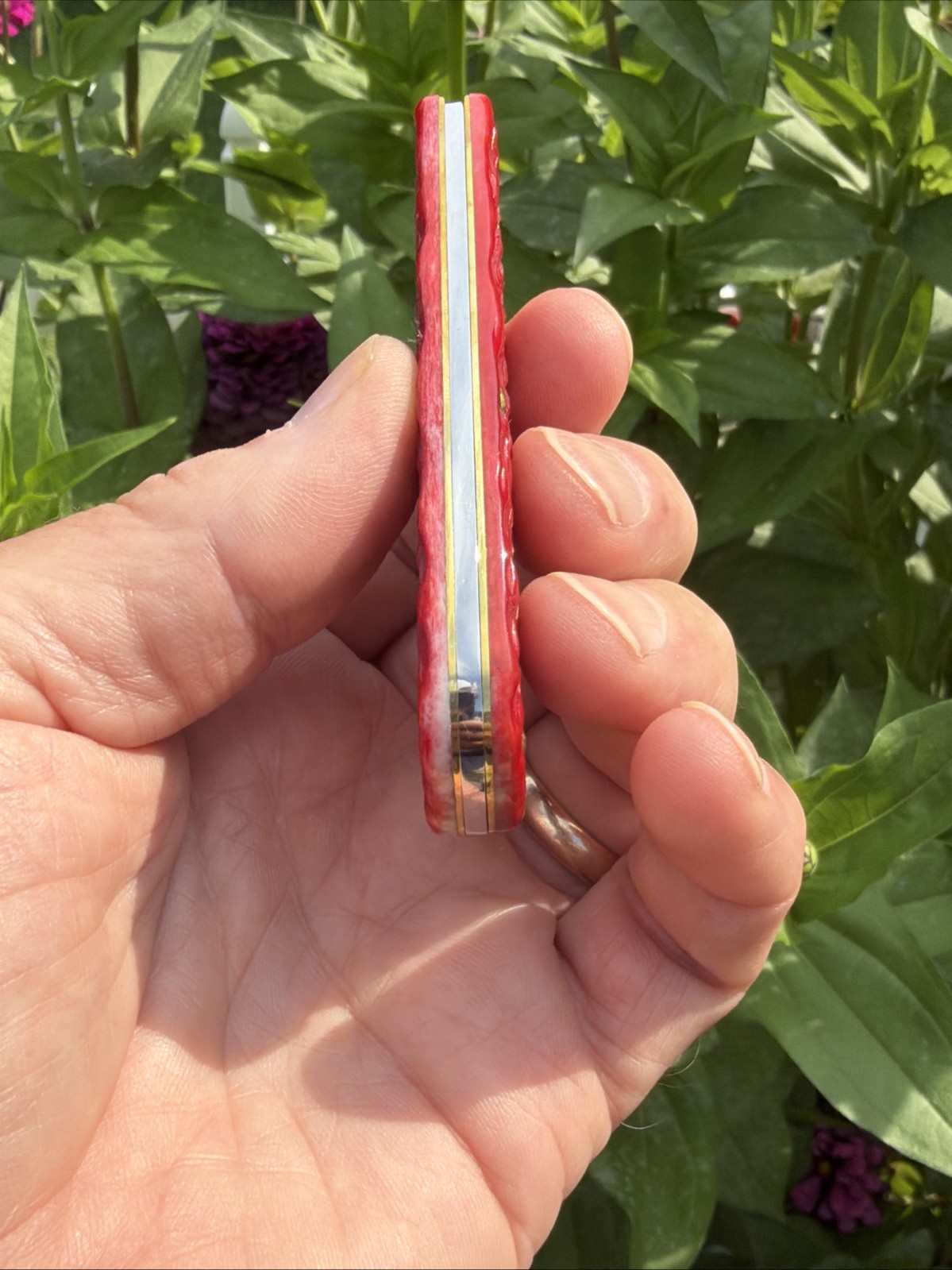 Case XX 2025 Dark Red Peach Seed Jig Bone 6137 CS Sod Buster Jr. Knife