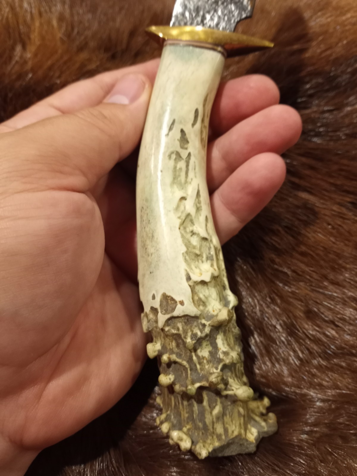 Handmade Whitetail Deer Antler Handled Knife Forged Brass Guard Hunting Bowie