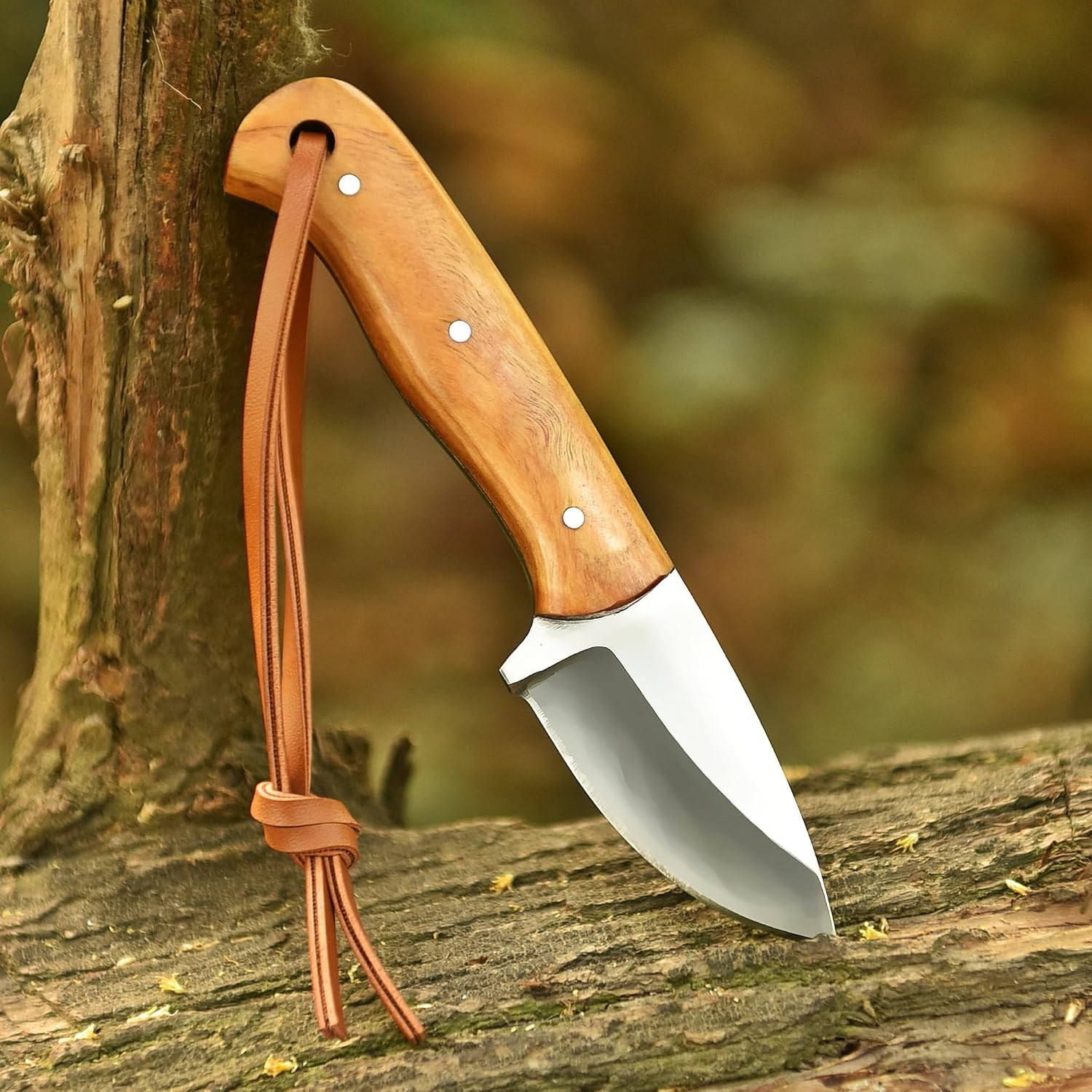 Handmade D2 Steel Neck Knife 5.5″ Fixed Blade Small EDC Knife with Premium Olive