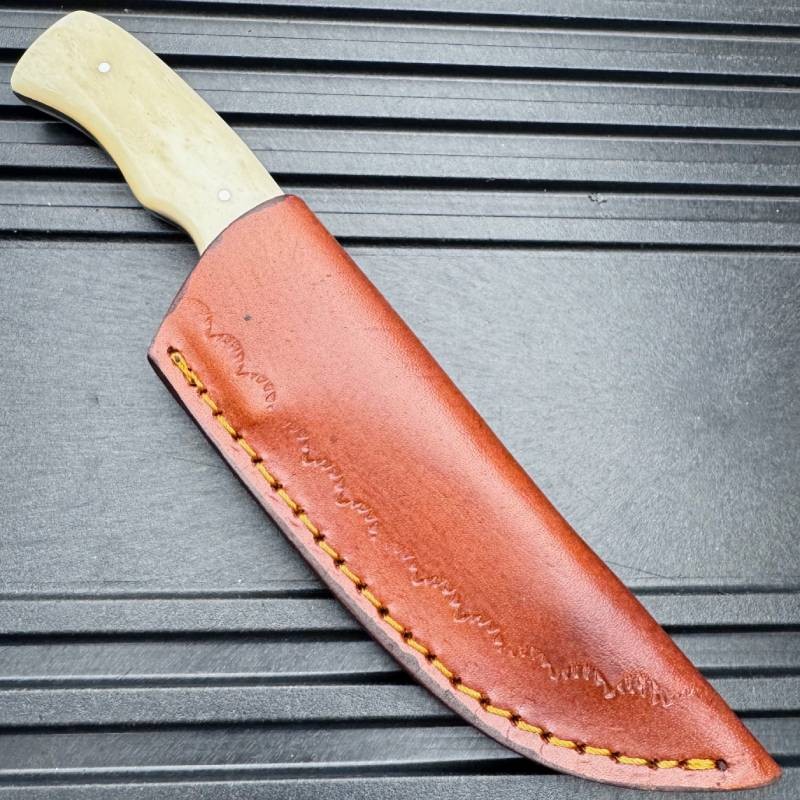 7″ Clip Point Wilderness Outdoor Fixed Blade Hunting Knife Bone Handle w Sheath