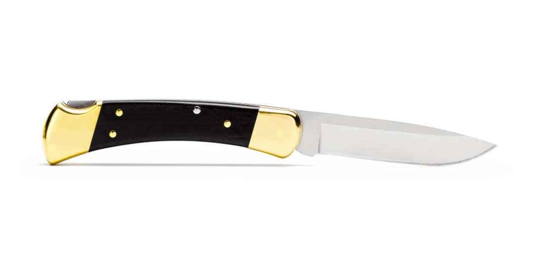 Buck 110 Drop Point Folding Hunter Knife 0110BRS6-B 420HC Ebony Made in USA New