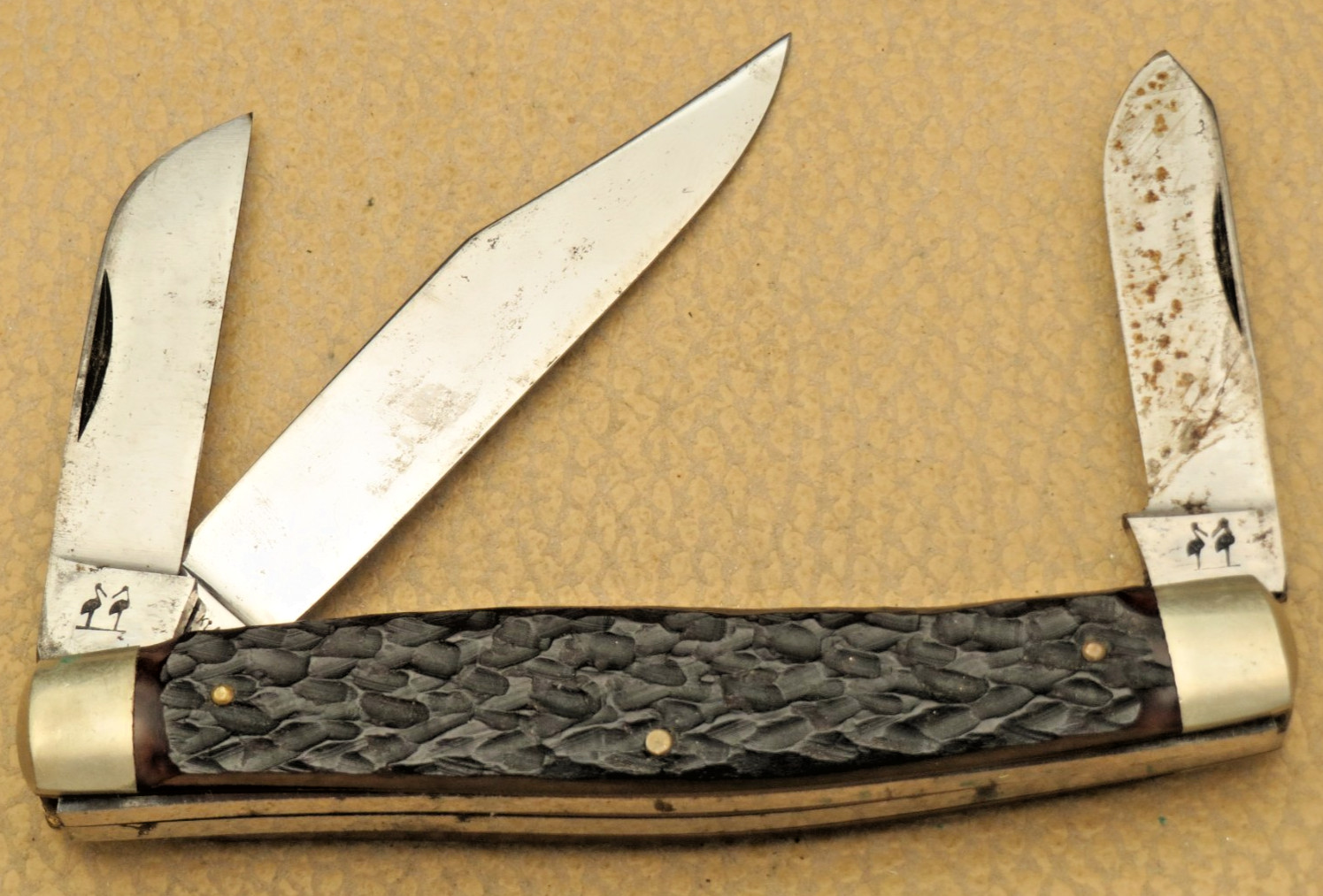 Vintage KISSING CRANE Solingen Stockman Knife Bone Handles – Unused with Tarnish