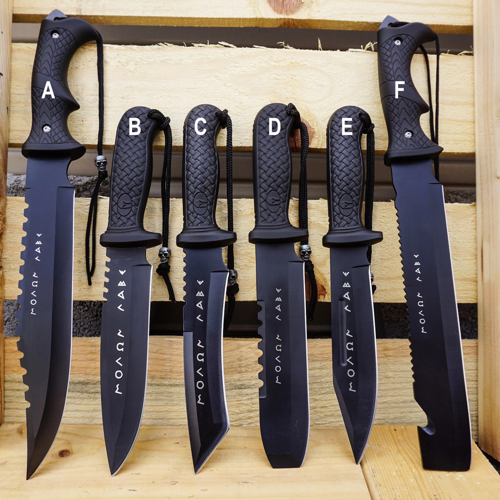 Greek Warrior MOLON LABE FIXED BLADE KNIFE COLLECTION TACTICAL TRAINING SURVIVAL