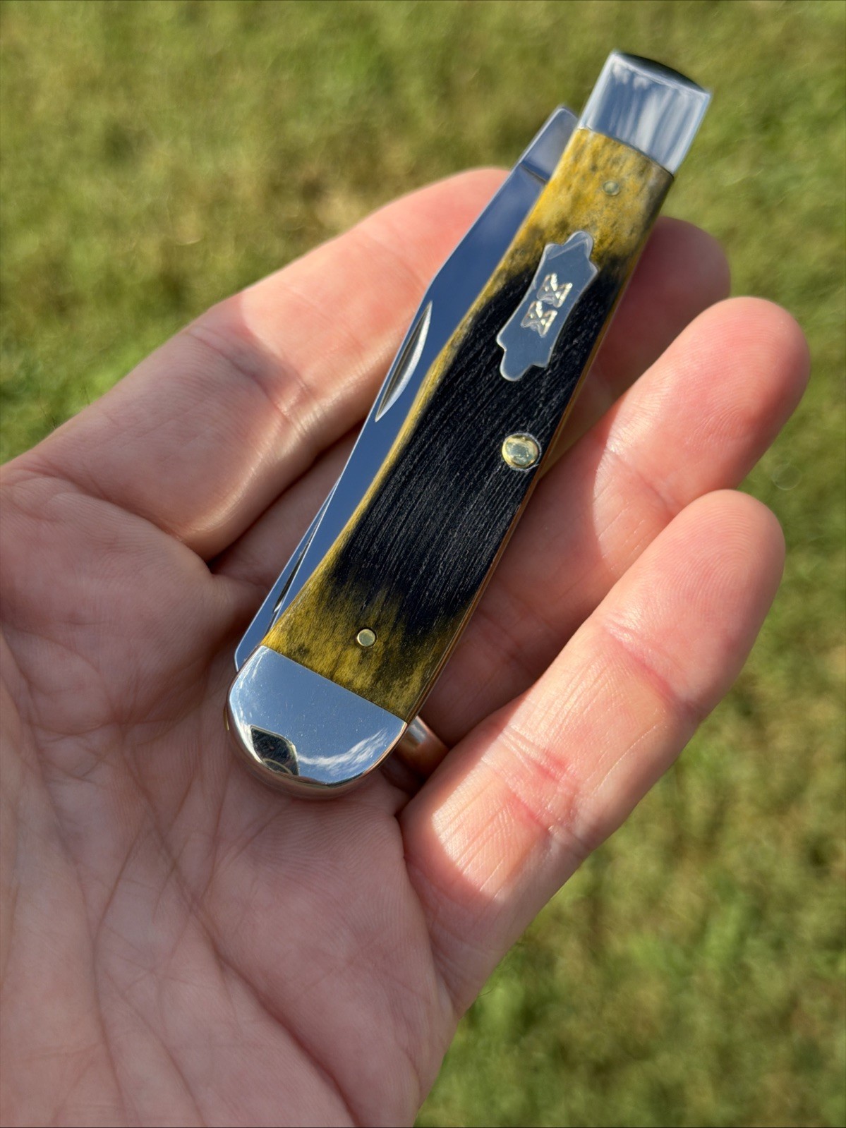 Case XX 2025 Olive Green Sawcut Bone 6254 SS Trapper Knife