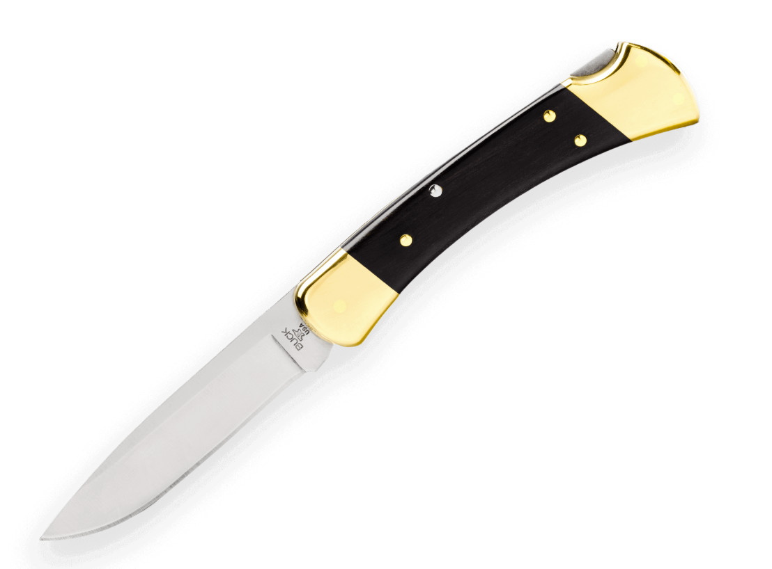 Buck 110 Drop Point Folding Hunter Knife 0110BRS6-B 420HC Ebony Made in USA New