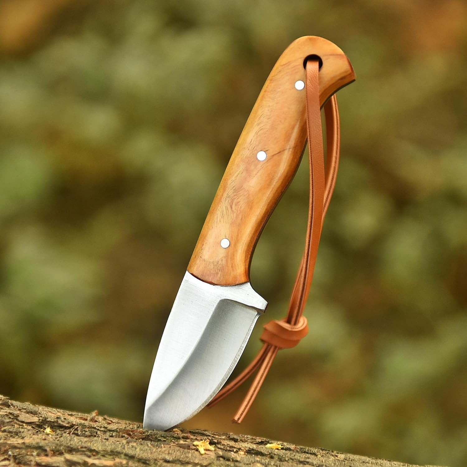 Handmade D2 Steel Neck Knife 5.5″ Fixed Blade Small EDC Knife with Premium Olive