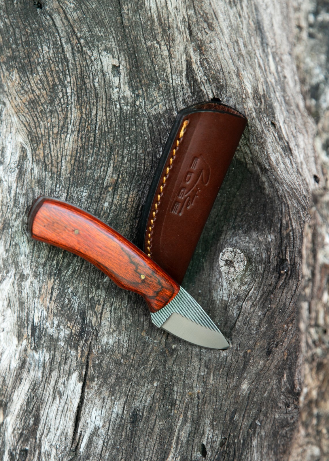 Sawmill Compact 5.5″ Skinner, Hardwood Handle, Leather Sheath – Rugged, Sharp!